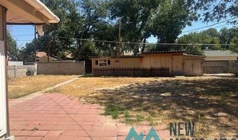 1108 N Guadalupe St, Carlsbad, NM 88220