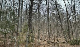 10-3 18 Myrtle St, Campton, NH 03223