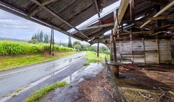 44-2906 KALOPA Rd, Honokaa, HI 96727