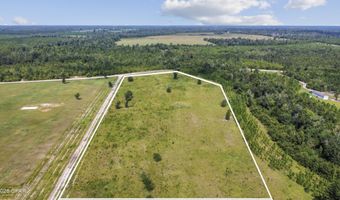 Bailey Cemetery Road, Altha, FL 32421