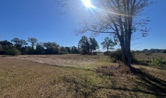 450 Meadows Rd, Ashford, AL 36312