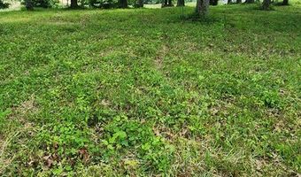 Overlook Ridge, Big Sandy, TN 38221