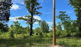 MT ZION RD, Big Sandy, TN 38221