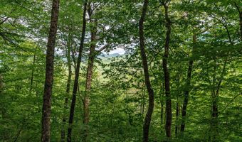 Dundee Road, Bartlett, NH 03812