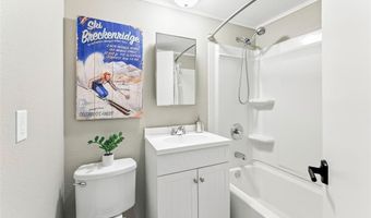 505 S RIDGE St 302, Breckenridge, CO 80424
