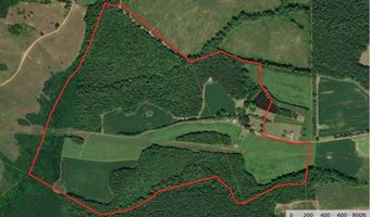 9891 Baskerville Rd, Baskerville, VA 23915