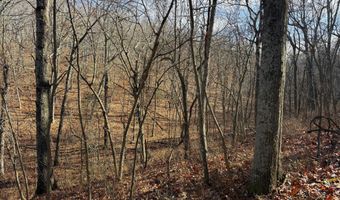 Farm Rd 1187 Lc, Ash Grove, MO 65604