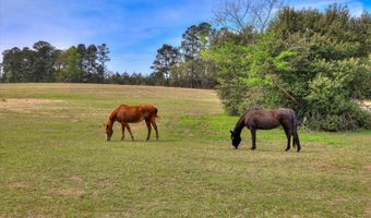 125 Peach Cider Rd, Batesburg Leesville, SC 29006