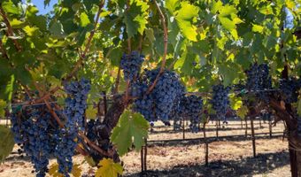 875 White Cottage Rd N, Angwin, CA 94508
