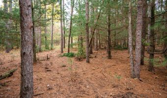 Lot 87 20th Avenue, Arkdale, WI 54613