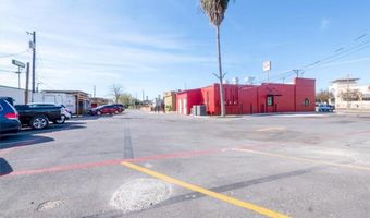 1037 W Duranta Ave, Alamo, TX 78516