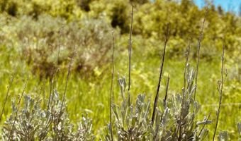 MARTEN Place, Alpine, WY 83128