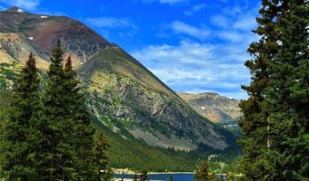 868 NUTHATCH Dr, Alma, CO 80420
