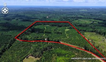 County Road 25, Banks, AL 36005
