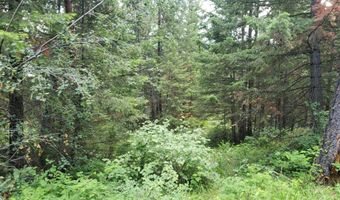 Arlee Pines lot 20, Arlee, MT 59821