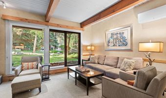 610 S West End St D105, Aspen, CO 81611