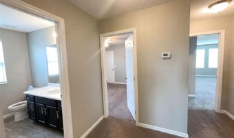 2264 FICUS Aly, Apopka, FL 32703