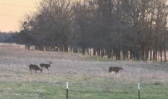 36953 Us Highway 70, Bennington, OK 74723