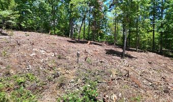 Lot 42 Bayside Boulevard, Bean Station, TN 37708