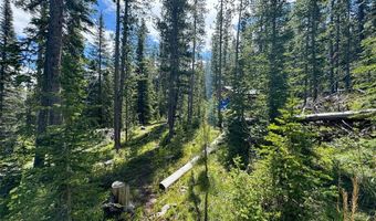 Nhn Cataract Creek, Basin, MT 59631