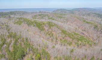 163 Acres Duck Springs Rd, Attalla, AL 35954