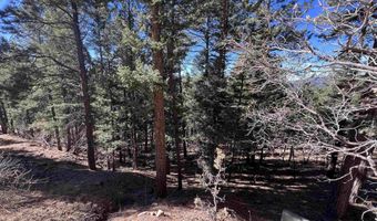 Back Basin Rd lot 156, Angel Fire, NM 87710