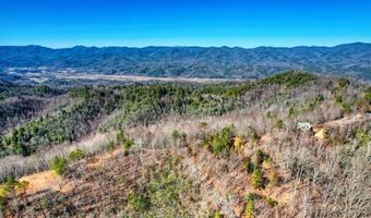 1441 Valley View Heights Ln Lot 3, Andrews, NC 28901