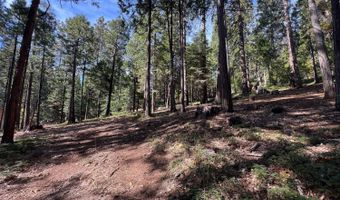 646 Dean Way, Arnold, CA 95223