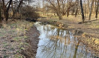 0002 CR-290, Asbury, MO 64832