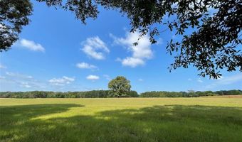Lot 5b Rains County Road 2420, Alba, TX 75410