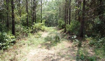 Adams Road, Bankston, AL 35542