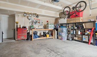 608 Apex Trl, Ault, CO 80610