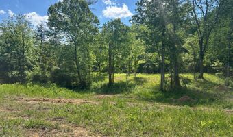 Huntersville Rd./Ethan Dr, Albany, KY 42602