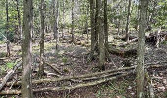 TBD Lot E Gratiot River, Allouez, MI 49805