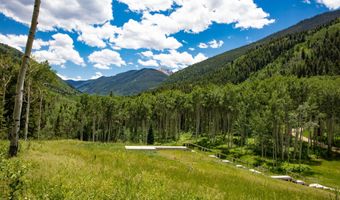 640 S Hayden Rd, Aspen, CO 81611