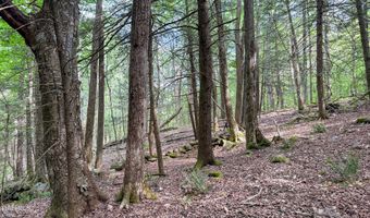 Deer Run lot 35, Becket, MA 01223