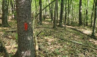 0 Tower Hill Rd, Candia, NH 03034