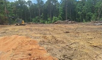 709 Old Pinola Braxton Rd, Braxton, MS 39044