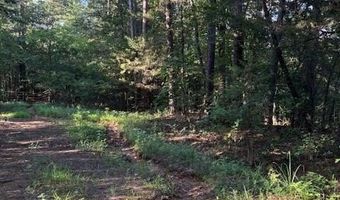 8517 Wildwood Trl, Altus, AR 72821