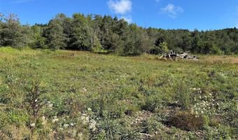 Lynch Road, Alfred, NY 14806
