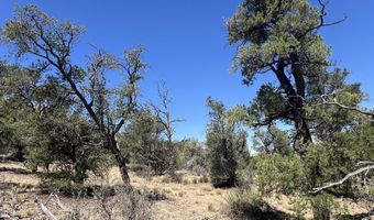 212 Arizona Rd, Ash Fork, AZ 86320