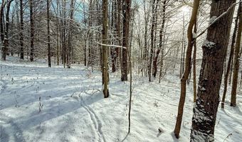 00 Fawn Lake Rd, Addison, NY 14801