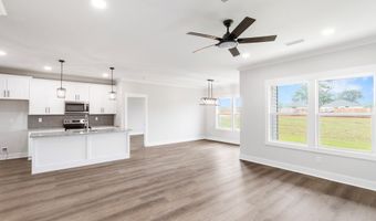 86 Woodham Rd, Ashford, AL 36312