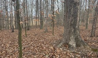 4800 Glendale Dr, Barboursville, VA 22923