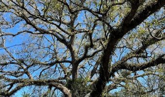 FM 521 TX, Angleton, TX 77515