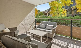 980 E Hyman Avenue 3, Aspen, CO 81611