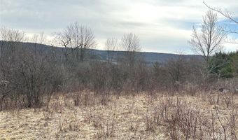 8302 Basswood Hill Rd, Alden, NY 14709