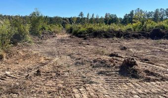 Lot 5 River Rd, Columbia, MS 39429
