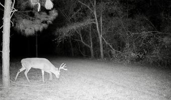 Highway 112, Abbeville, GA 31001