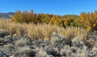 700 Davis Meadow Trl, Dyer, NV 89010